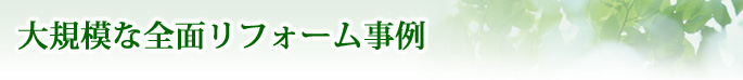 大規模な全面リフォーム事例